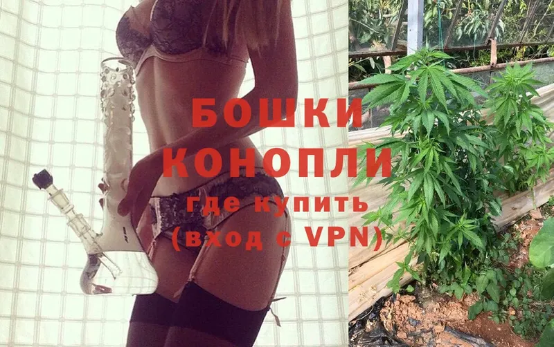 Конопля SATIVA & INDICA  ОМГ ОМГ ссылки  Железноводск 